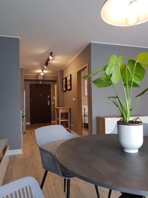 Apartament Triventi 88 Z Widokiem Na Sniezke - 5D Apartamenty Karpacz Eksteriør billede